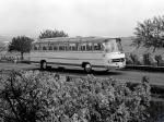 Mercedes-Benz O321 H 1954 года